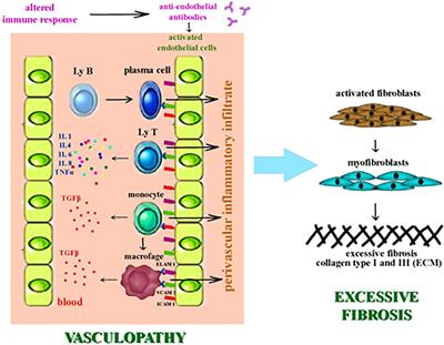 Immunologic and nonimmunologic sclerodermal skin conditions - review